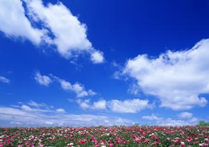 早く疲労回復したいと考えるならこの施術